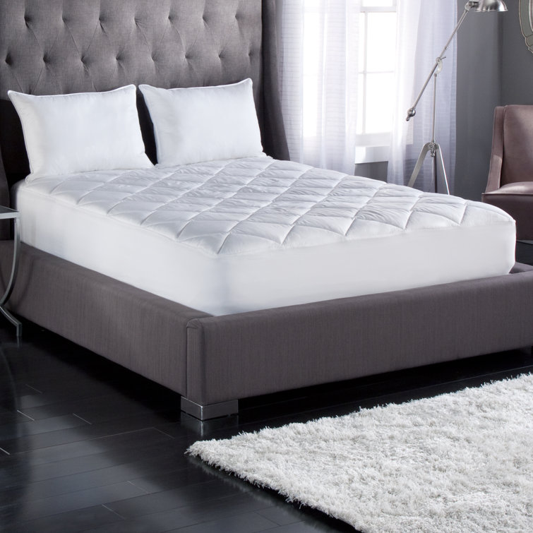 Stearns & Foster Mattress Pad & Reviews Wayfair